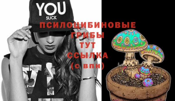 мескалин Гусев