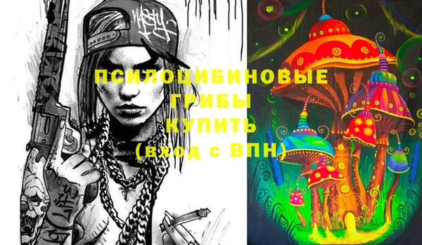 стафф Гусиноозёрск