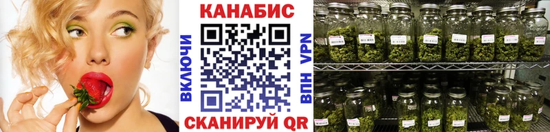 Канабис ГИДРОПОН  закладки  Ессентукская 